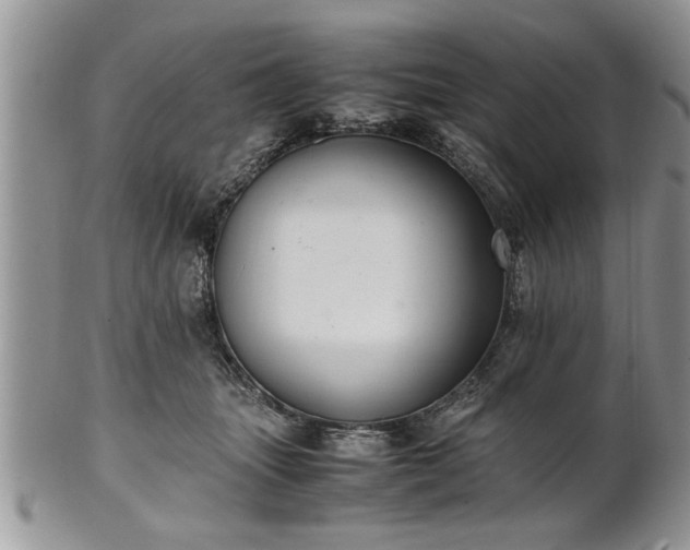 X0000102260463200808011409