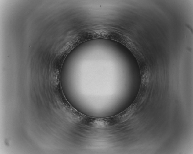 X0000102260464200808011409