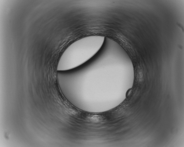 X0000102260467200808011409