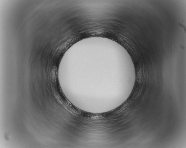 X0000102260468200808011409