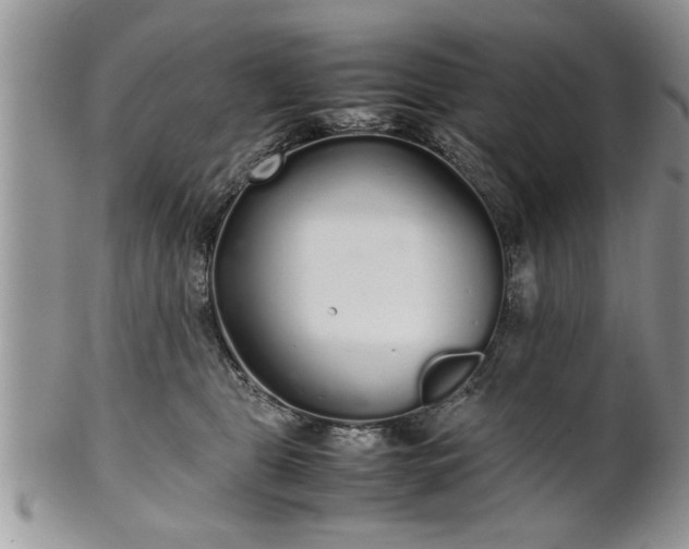 X0000102260469200808011409