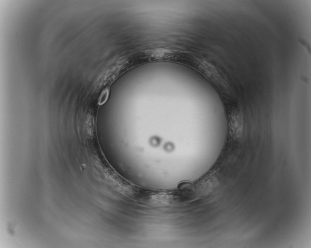 X0000102260470200808011409