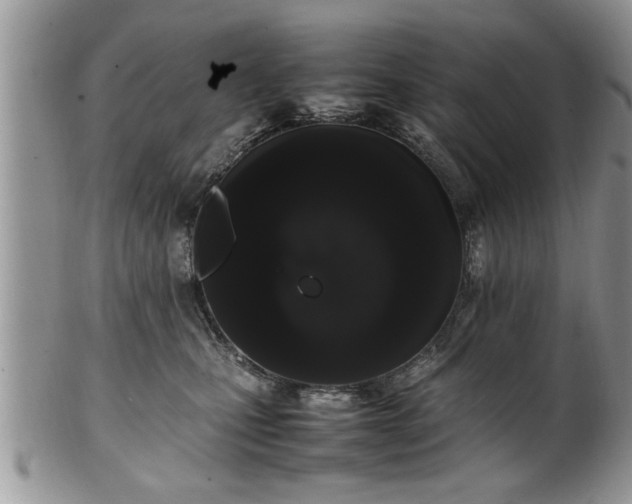 X0000102260471200808011409