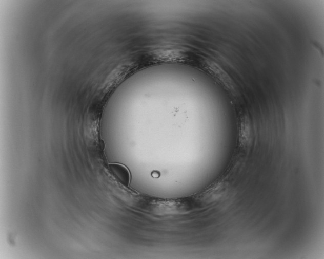 X0000102260473200808011409