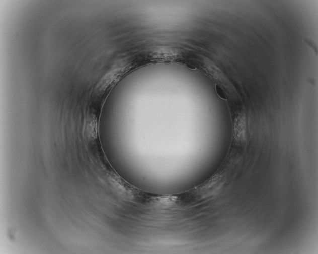 X0000102260474200808011409