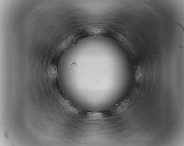 X0000102260476200808011409