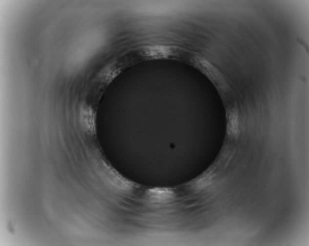 X0000102260477200808011409