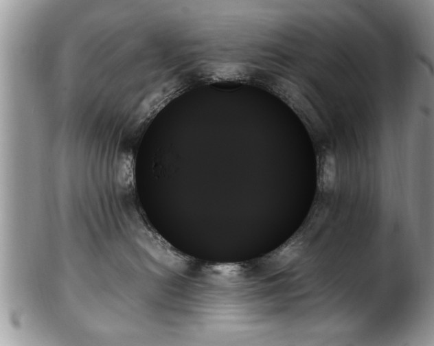 X0000102260478200808011409