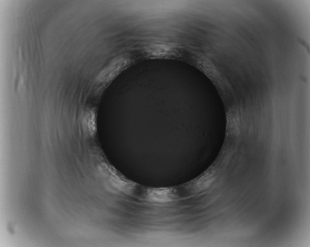 X0000102260479200808011409