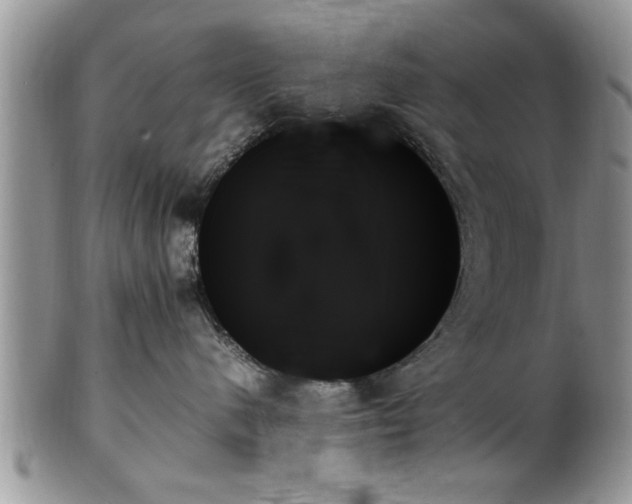 X0000102260480200808011409