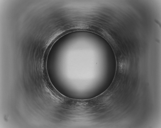 X0000102260484200808011408