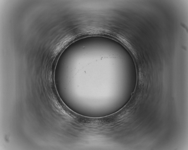 X0000102260485200808011408