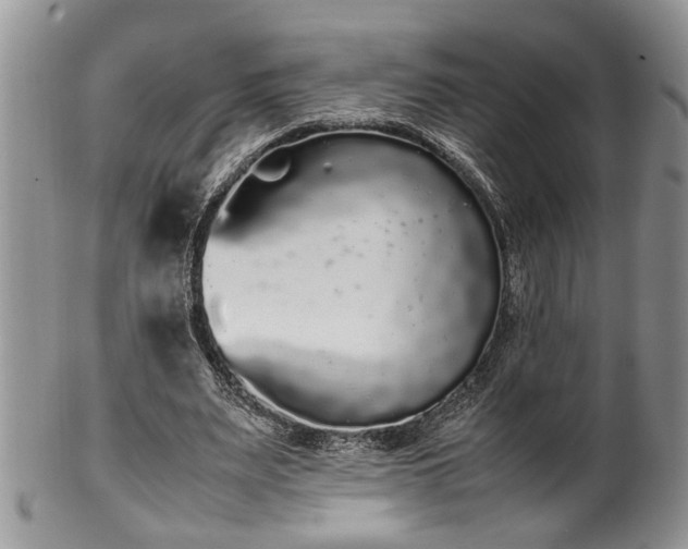 X0000102260487200808011408