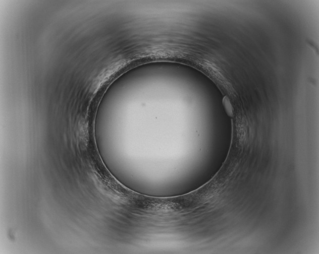 X0000102260488200808011408