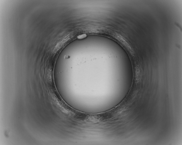 X0000102260489200808011408