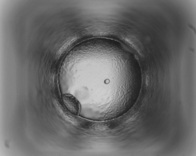 X0000102260491200808011408