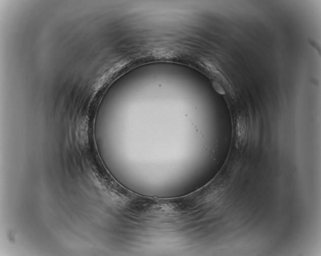 X0000102260492200808011408