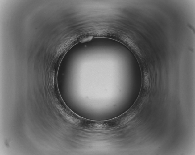 X0000102260493200808011408