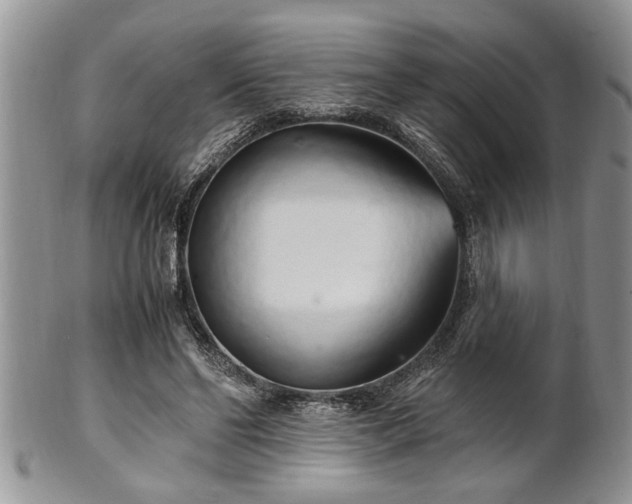 X0000102260494200808011408