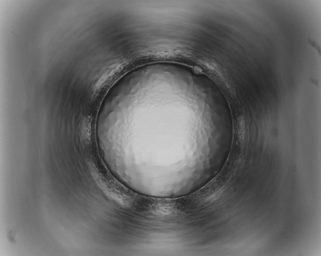 X0000102260495200808011408