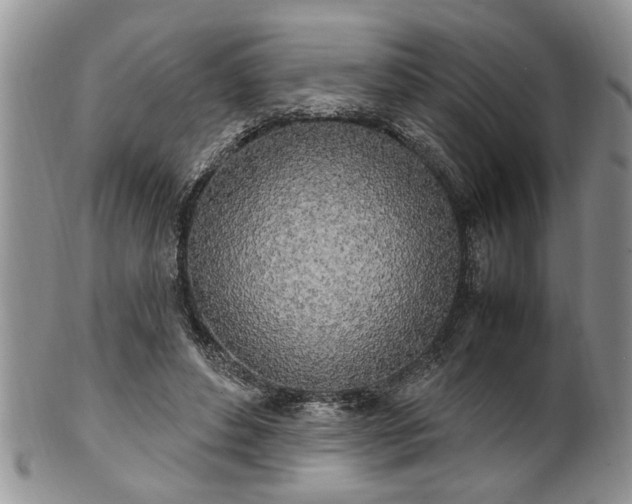 X0000102260496200808011408