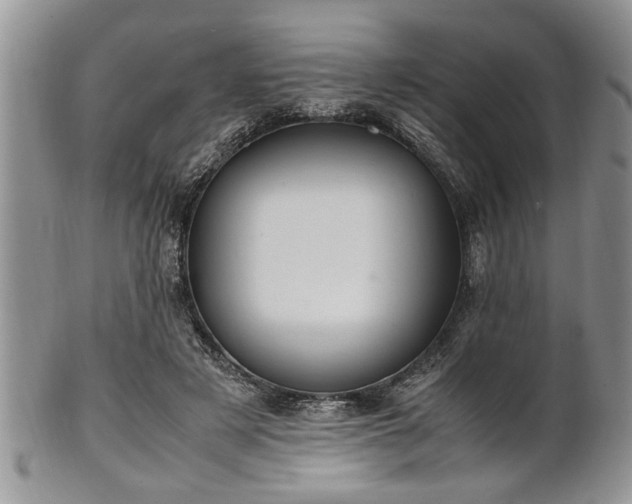 X0000102260497200808011408