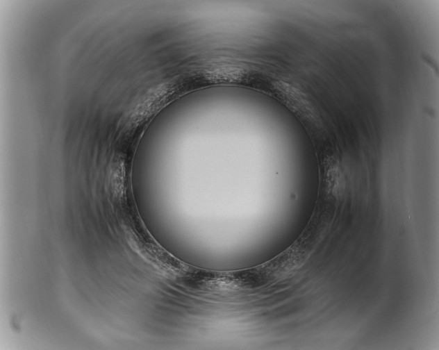 X0000102260498200808011408