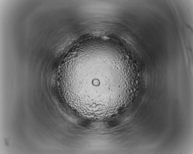 X0000102260499200808011408