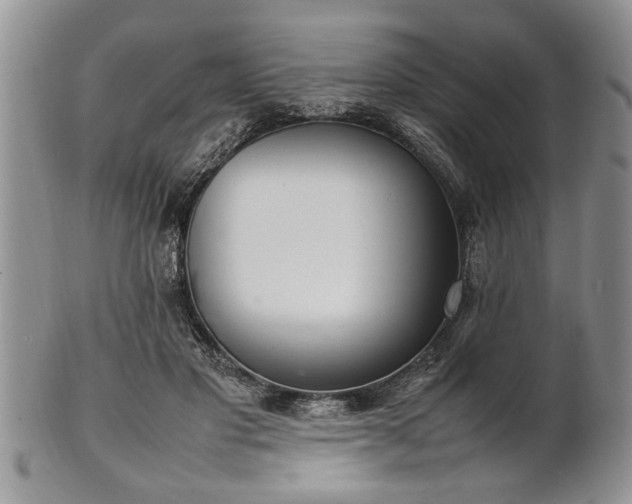 X0000102260501200808011408