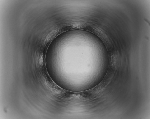 X0000102260502200808011408