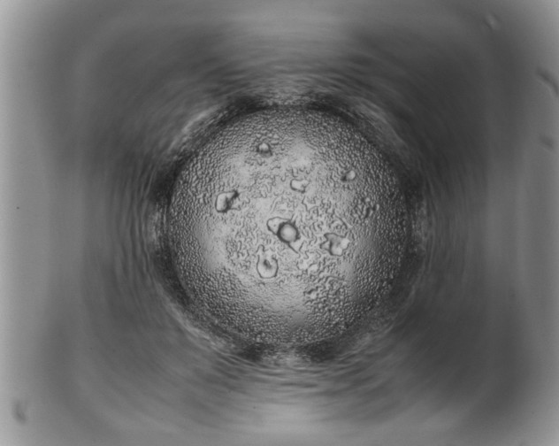 X0000102260503200808011408