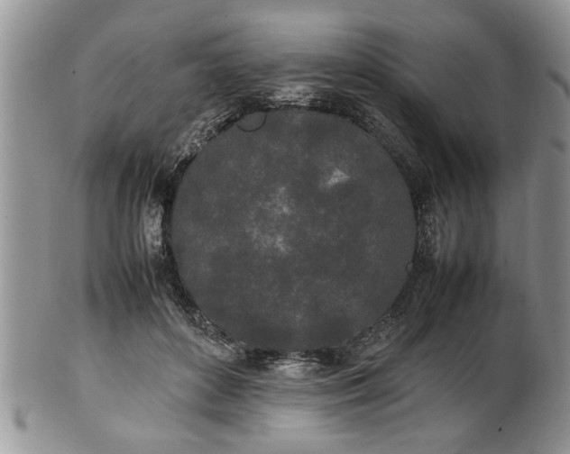 X0000102260504200808011408