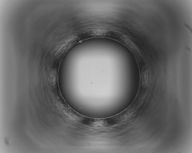 X0000102260505200808011408