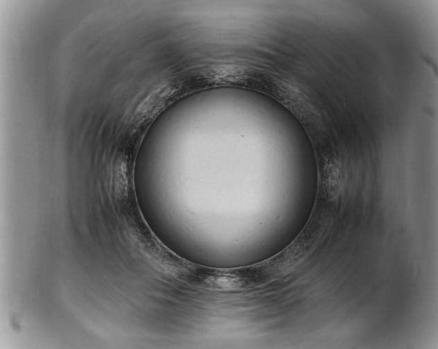 X0000102260506200808011408