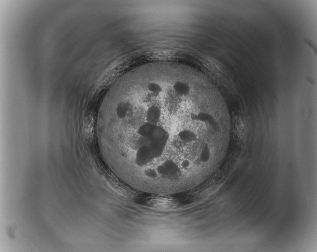 X0000102260507200808011408