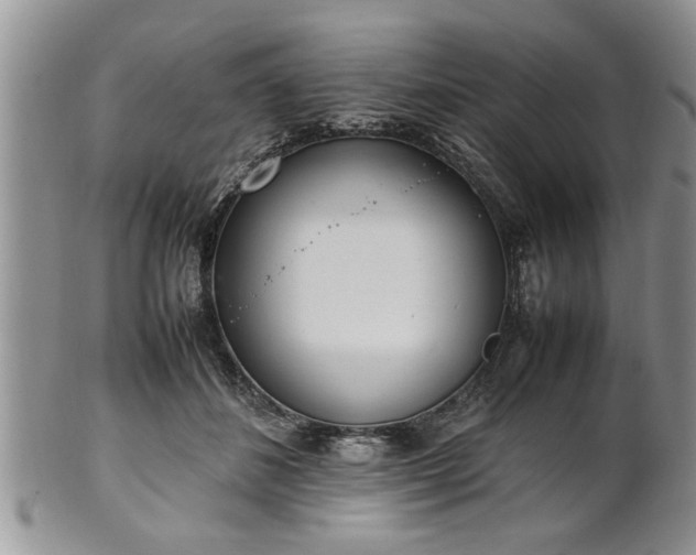 X0000102260508200808011408