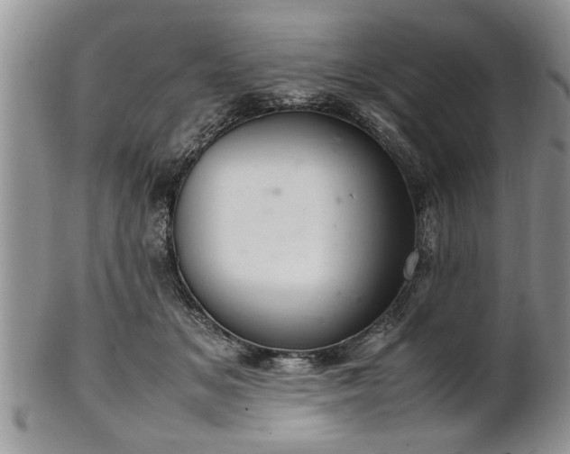 X0000102260509200808011408