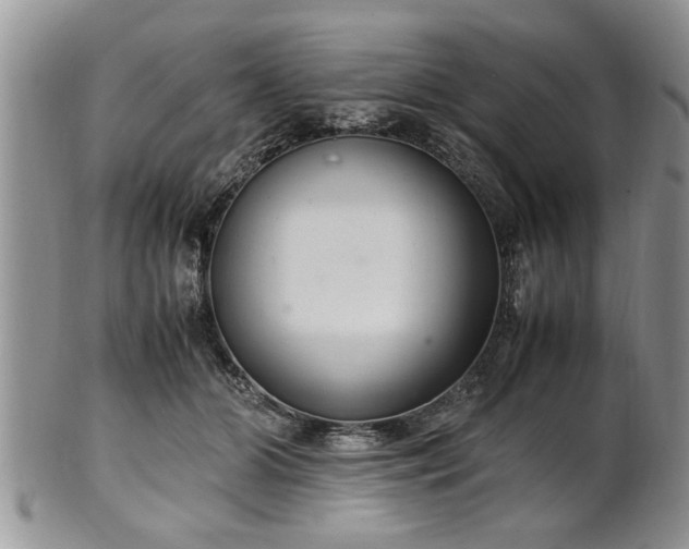 X0000102260510200808011408