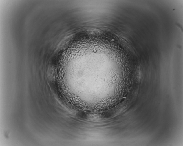 X0000102260511200808011408