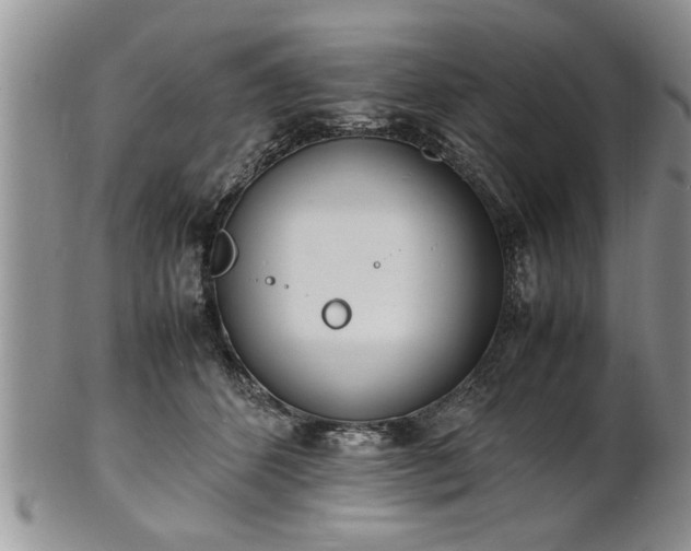 X0000102260512200808011408