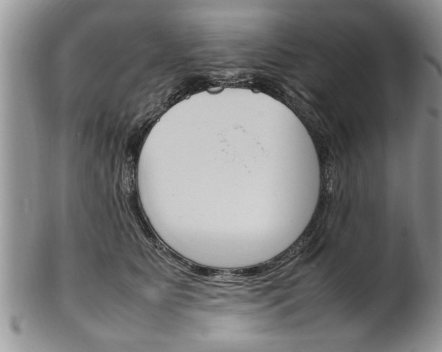 X0000102260515200808011408