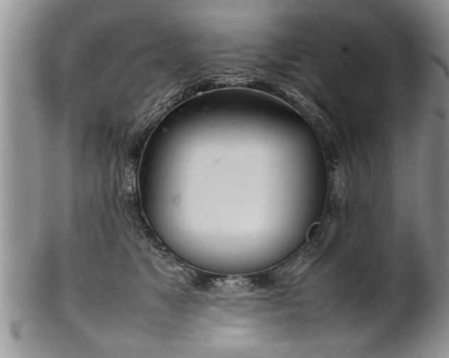 X0000102260517200808011408