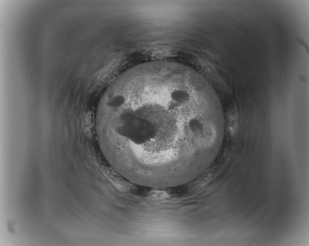 X0000102260519200808011407