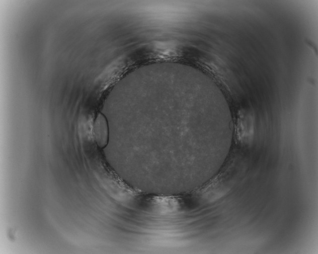 X0000102260520200808011407