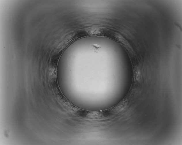 X0000102260521200808011407