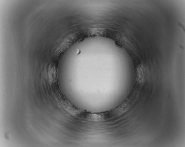 X0000102260522200808011407