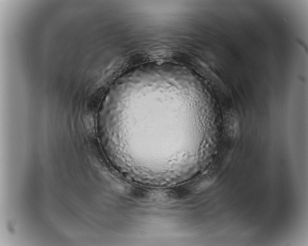 X0000102260523200808011407