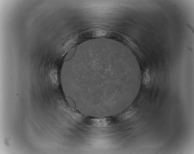 X0000102260524200808011407