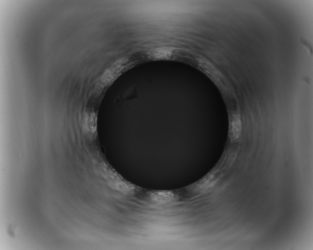 X0000102260525200808011407