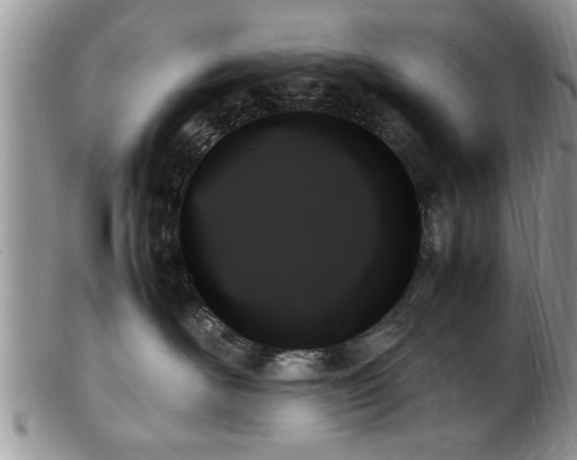 X0000102260526200808011407